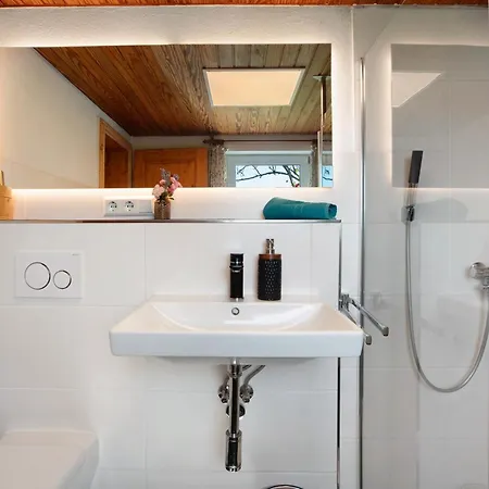 Black Forest Woods *