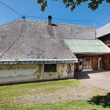 Black Forest Woods Bernau im Schwarzwald