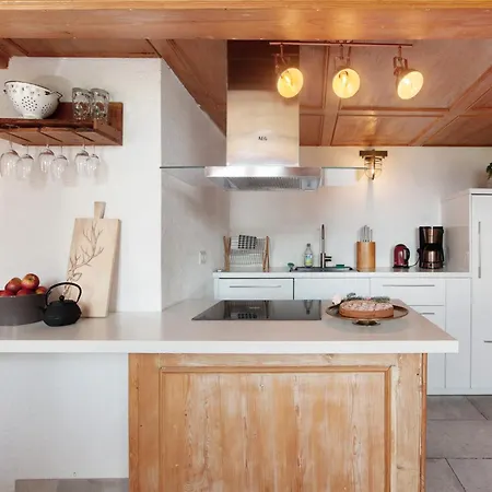 Black Forest Woods *